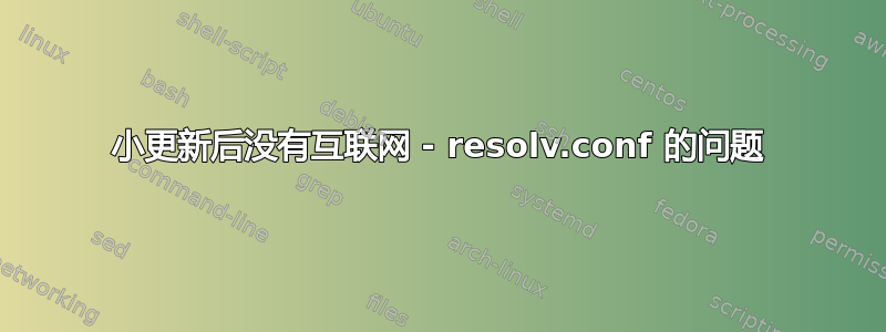 小更新后没有互联网 - resolv.conf 的问题