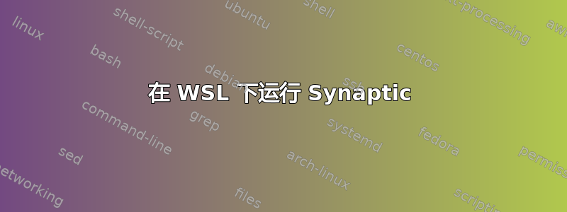 在 WSL 下运行 Synaptic