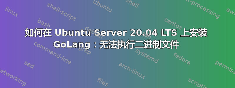 如何在 Ubuntu Server 20.04 LTS 上安装 GoLang：无法执行二进制文件