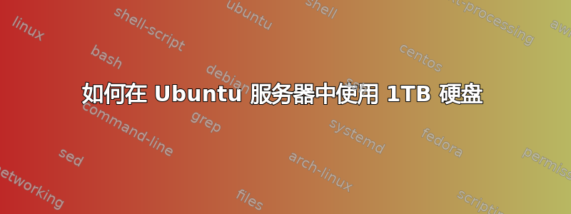 如何在 Ubuntu 服务器中使用 1TB 硬盘