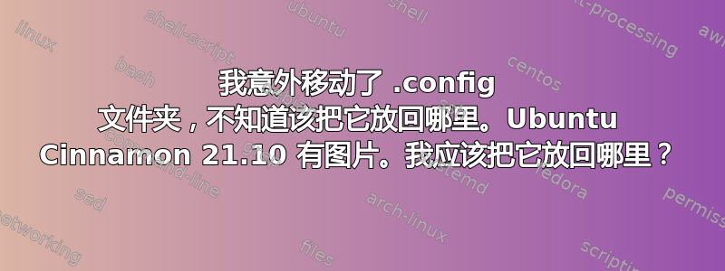 我意外移动了 .config 文件夹，不知道该把它放回哪里。Ubuntu Cinnamon 21.10 有图片。我应该把它放回哪里？