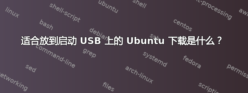 适合放到启动 USB 上的 Ubuntu 下载是什么？