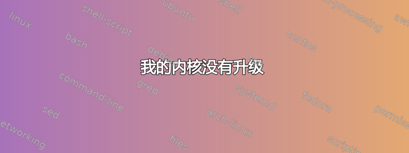 我的内核没有升级