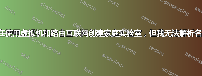 我正在使用虚拟机和路由互联网创建家庭实验室，但我无法解析名称？