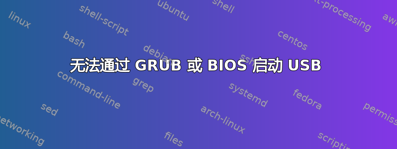 无法通过 GRUB 或 BIOS 启动 USB