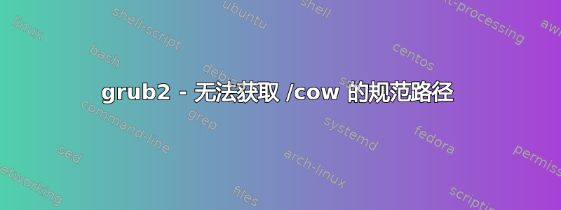 grub2 - 无法获取 /cow 的规范路径