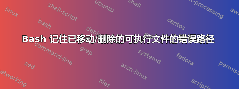 Bash 记住已移动/删除的可执行文件的错误路径