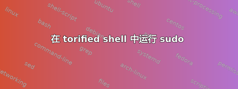 在 torified shell 中运行 sudo