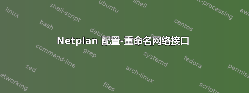 Netplan 配置-重命名网络接口