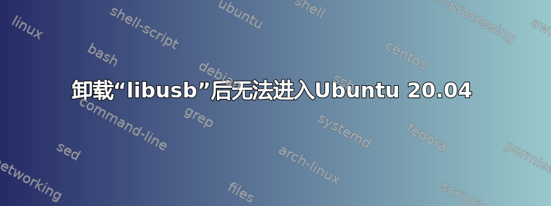 卸载“libusb”后无法进入Ubuntu 20.04