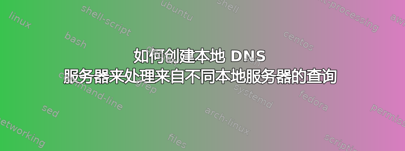 如何创建本地 DNS 服务器来处理来自不同本地服务器的查询