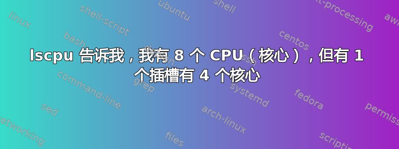 lscpu 告诉我，我有 8 个 CPU（核心），但有 1 个插槽有 4 个核心