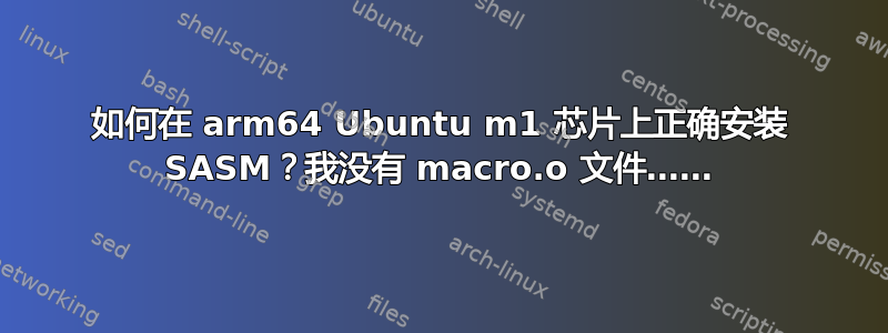 如何在 arm64 Ubuntu m1 芯片上正确安装 SASM？我没有 macro.o 文件……