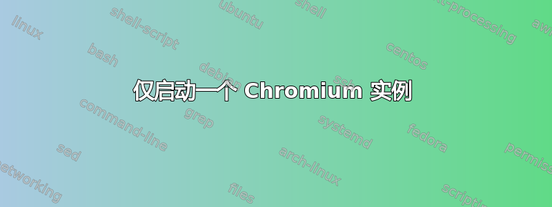 仅启动一个 Chromium 实例