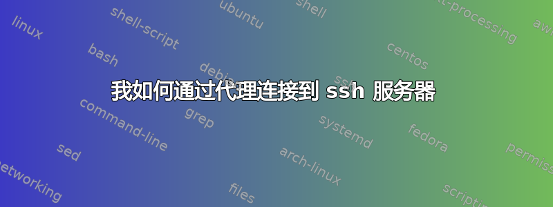 我如何通过代理连接到 ssh 服务器