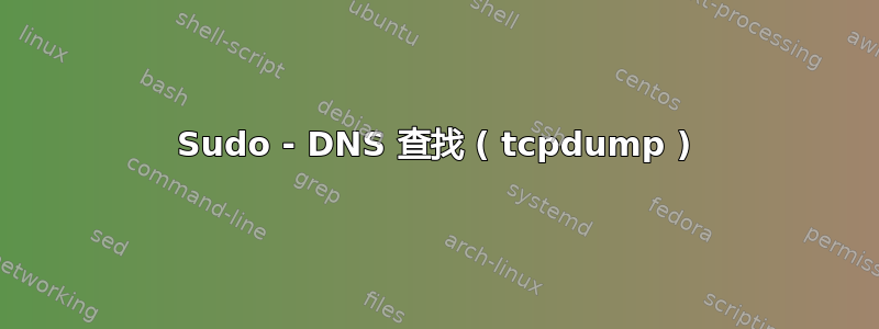 Sudo - DNS 查找 ( tcpdump )