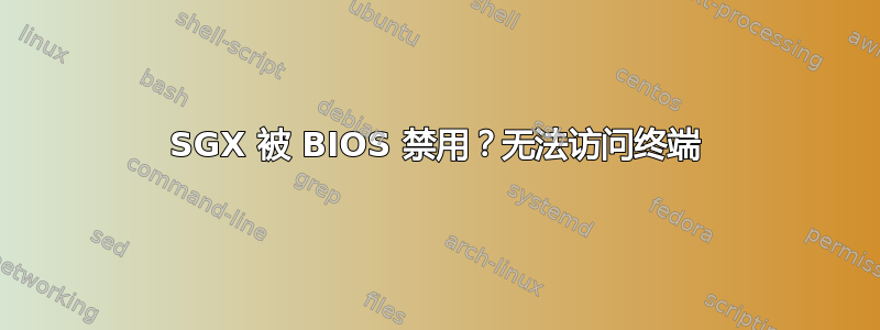 SGX 被 BIOS 禁用？无法访问终端