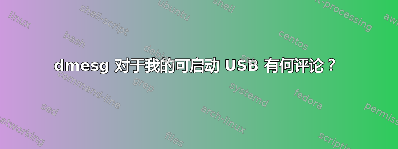 dmesg 对于我的可启动 USB 有何评论？