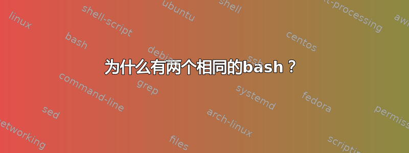 为什么有两个相同的bash？