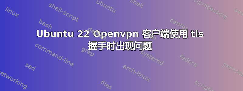 Ubuntu 22 Openvpn 客户端使用 tls 握手时出现问题