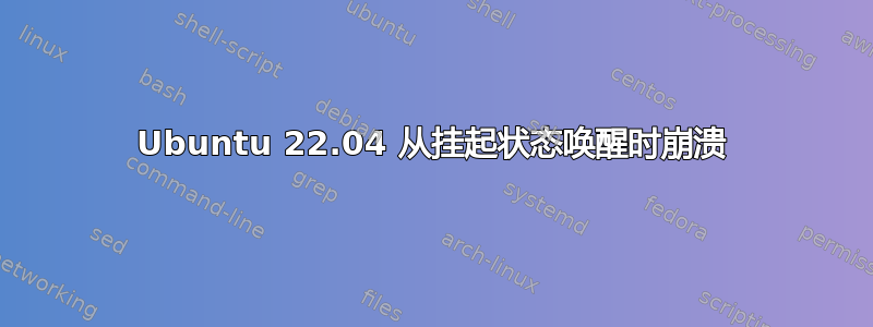 Ubuntu 22.04 从挂起状态唤醒时崩溃