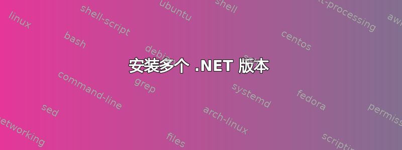 安装多个 .NET 版本