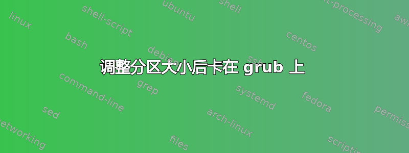 调整分区大小后卡在 grub 上