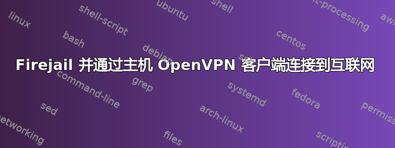 Firejail 并通过主机 OpenVPN 客户端连接到互联网