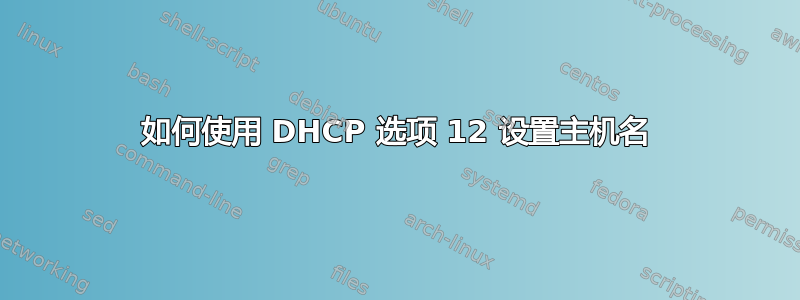 如何使用 DHCP 选项 12 设置主机名