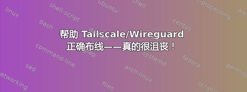 帮助 Tailscale/Wireguard 正确布线——真的很沮丧！