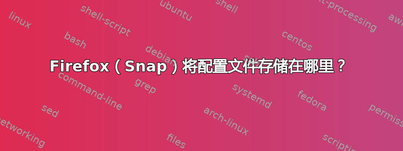 Firefox（Snap）将配置文件存储在哪里？