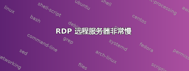 RDP 远程服务器非常慢