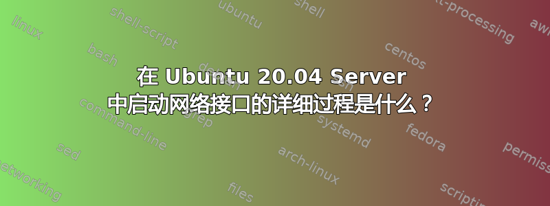 在 Ubuntu 20.04 Server 中启动网络接口的详细过程是什么？