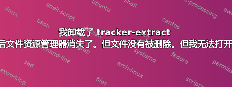 我卸载了 tracker-extract 并重新启动，之后文件资源管理器消失了。但文件没有被删除。但我无法打开文件资源管理器