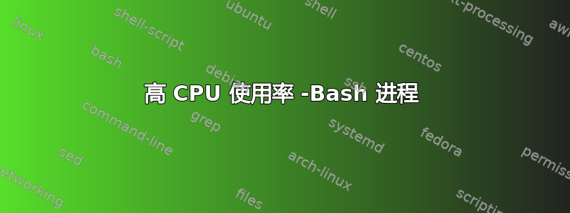 高 CPU 使用率 -Bash 进程