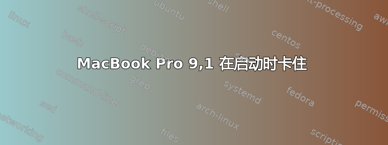 MacBook Pro 9,1 在启动时卡住