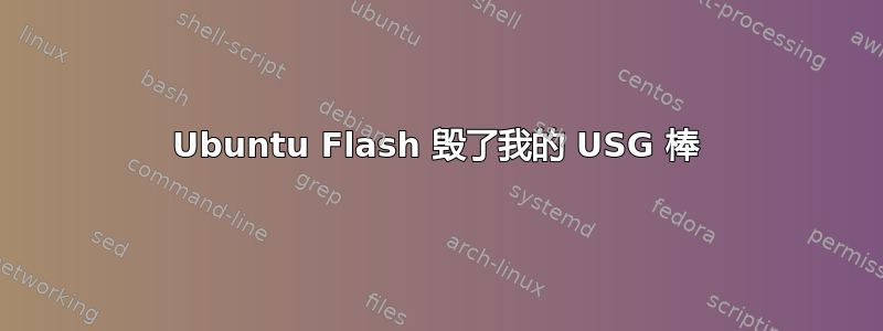 Ubuntu Flash 毁了我的 USG 棒