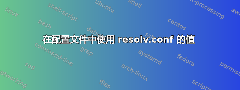 在配置文件中使用 resolv.conf 的值