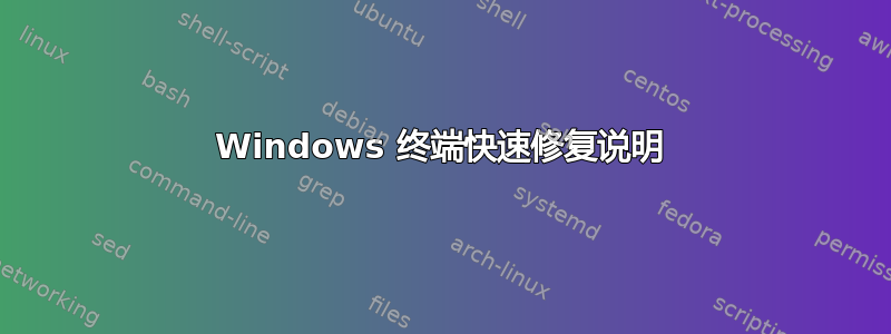 Windows 终端快速修复说明