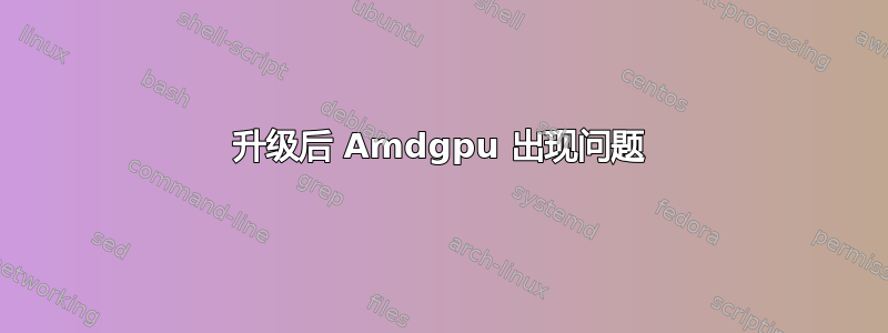 升级后 Amdgpu 出现问题