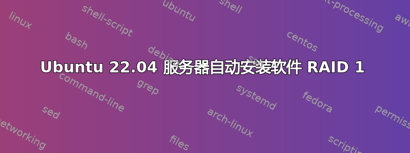 Ubuntu 22.04 服务器自动安装软件 RAID 1