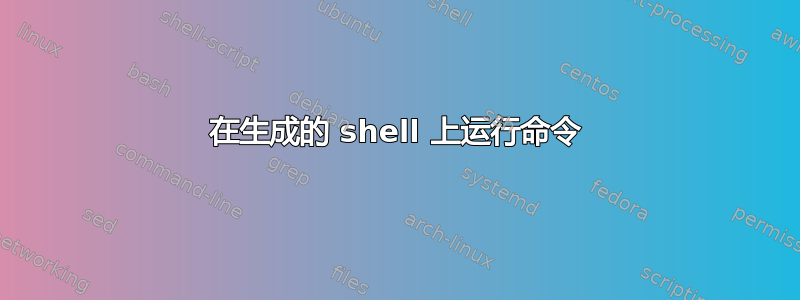 在生成的 shell 上运行命令