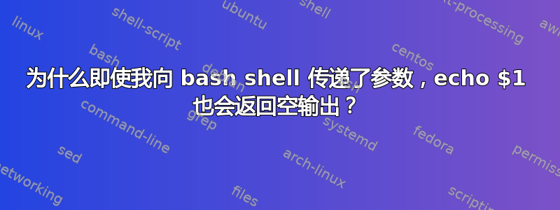 为什么即使我向 bash shell 传递了参数，echo $1 也会返回空输出？