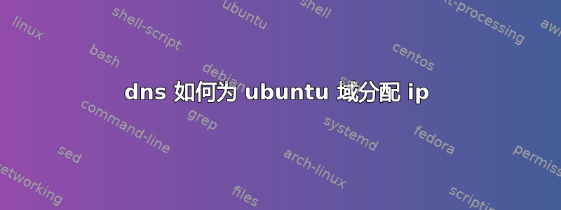 dns 如何为 ubuntu 域分配 ip