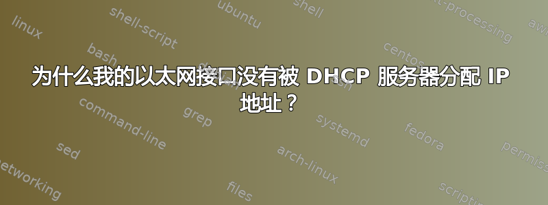 为什么我的以太网接口没有被 DHCP 服务器分配 IP 地址？