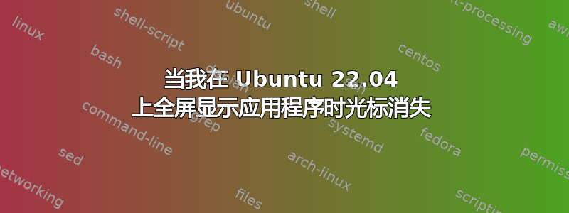 当我在 Ubuntu 22.04 上全屏显示应用程序时光标消失