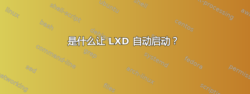 是什么让 LXD 自动启动？