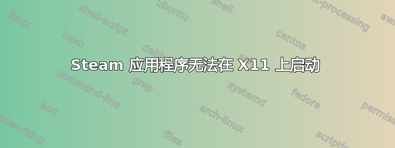 Steam 应用程序无法在 X11 上启动