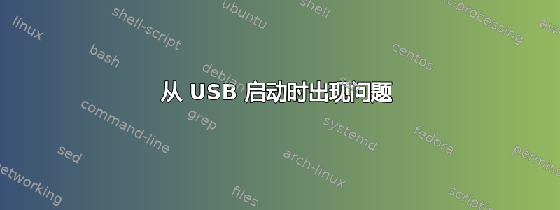 从 USB 启动时出现问题