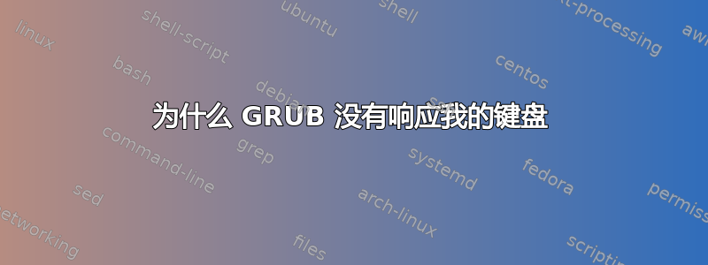 为什么 GRUB 没有响应我的键盘